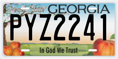 GA license plate PYZ2241