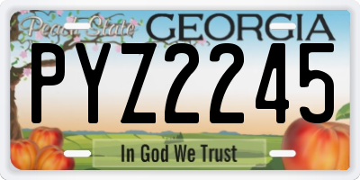 GA license plate PYZ2245