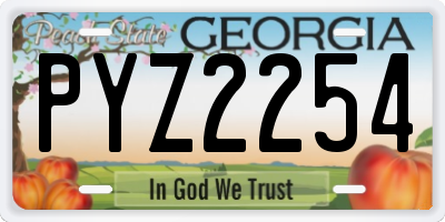 GA license plate PYZ2254