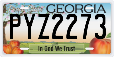 GA license plate PYZ2273