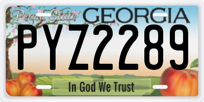 GA license plate PYZ2289