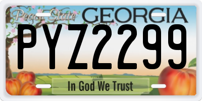 GA license plate PYZ2299
