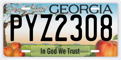 GA license plate PYZ2308