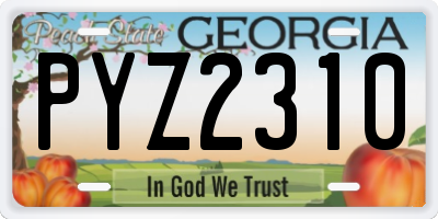 GA license plate PYZ2310