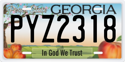 GA license plate PYZ2318