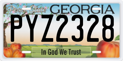 GA license plate PYZ2328