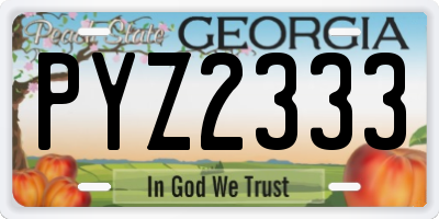 GA license plate PYZ2333
