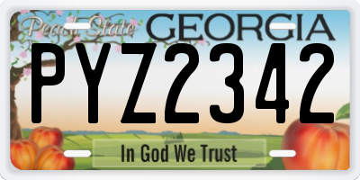 GA license plate PYZ2342