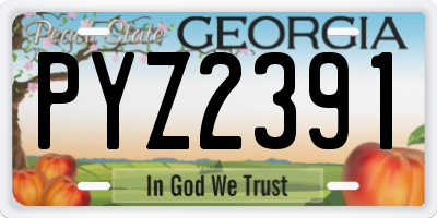 GA license plate PYZ2391
