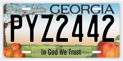 GA license plate PYZ2442
