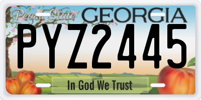 GA license plate PYZ2445