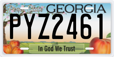 GA license plate PYZ2461