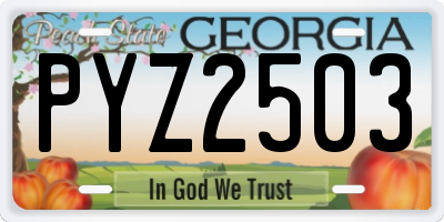 GA license plate PYZ2503