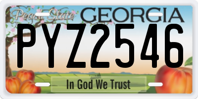 GA license plate PYZ2546