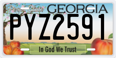 GA license plate PYZ2591