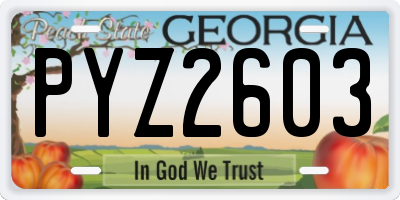 GA license plate PYZ2603