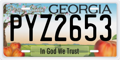 GA license plate PYZ2653