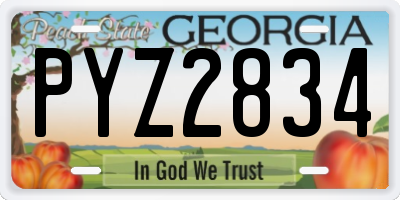 GA license plate PYZ2834