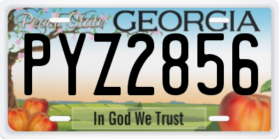 GA license plate PYZ2856