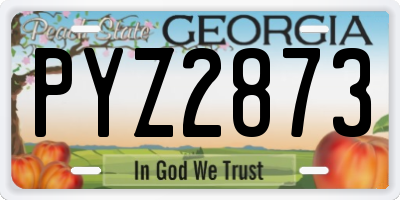 GA license plate PYZ2873