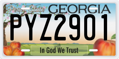 GA license plate PYZ2901