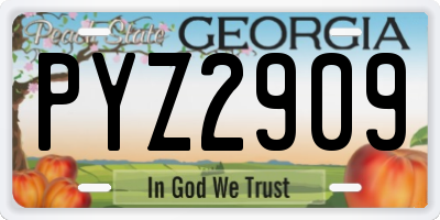 GA license plate PYZ2909