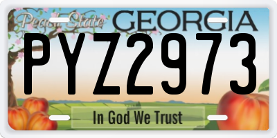 GA license plate PYZ2973