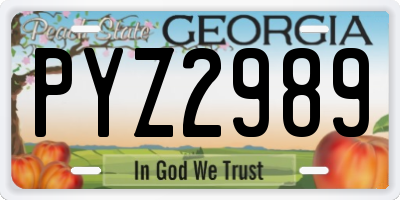 GA license plate PYZ2989