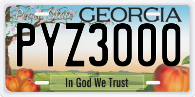 GA license plate PYZ3000