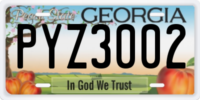 GA license plate PYZ3002