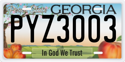 GA license plate PYZ3003