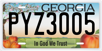 GA license plate PYZ3005