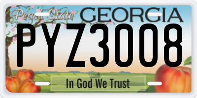 GA license plate PYZ3008