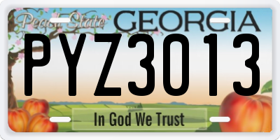 GA license plate PYZ3013