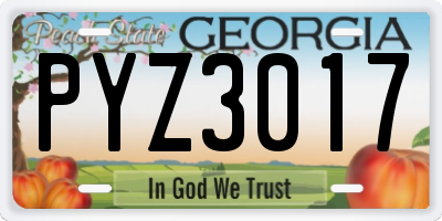 GA license plate PYZ3017