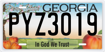 GA license plate PYZ3019