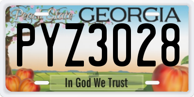 GA license plate PYZ3028