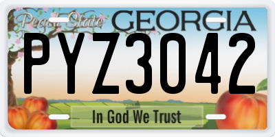 GA license plate PYZ3042