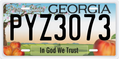 GA license plate PYZ3073