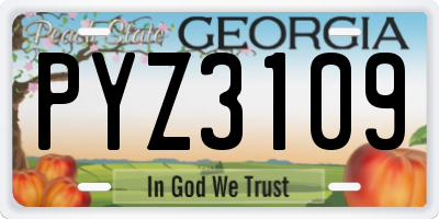 GA license plate PYZ3109