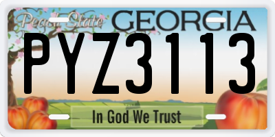 GA license plate PYZ3113