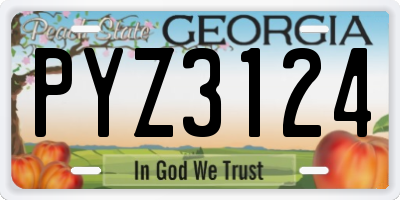 GA license plate PYZ3124