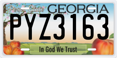 GA license plate PYZ3163