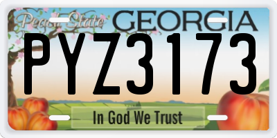 GA license plate PYZ3173