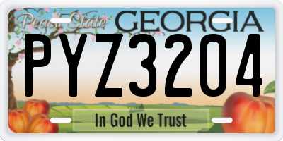 GA license plate PYZ3204