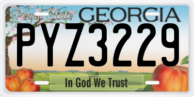 GA license plate PYZ3229