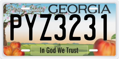 GA license plate PYZ3231