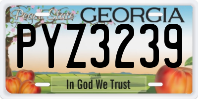 GA license plate PYZ3239