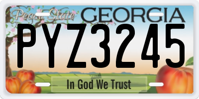 GA license plate PYZ3245