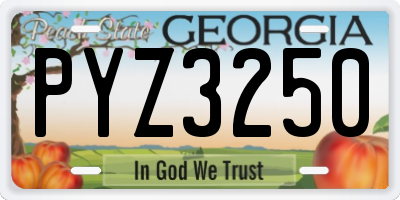 GA license plate PYZ3250